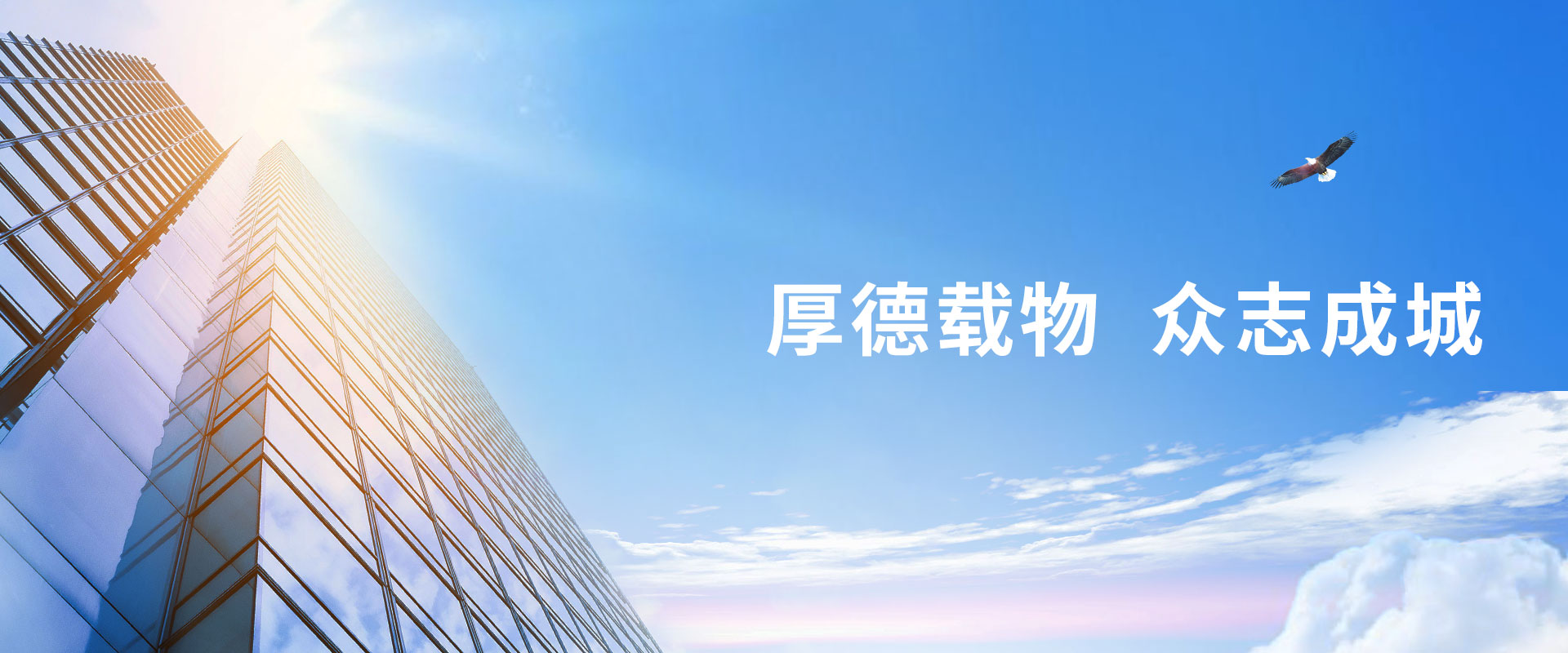 養(yǎng)雞場(chǎng)喂料機(jī),蛋雞自動(dòng)喂料機(jī),雞場(chǎng)自動(dòng)加料設(shè)備 banner